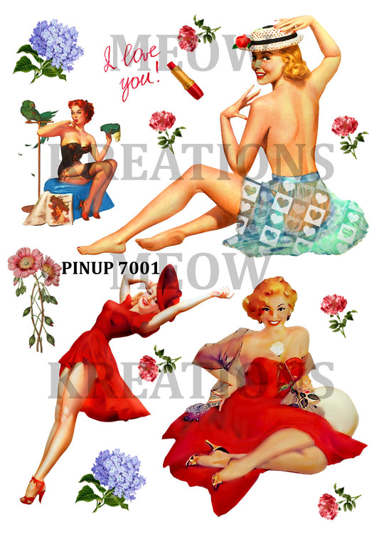 PINUP 7001