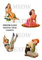 Decoupage Rice Paper - PINUPM 31002