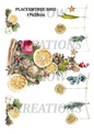 Christmas Decoupage Rice Paper - PLACEXMTREE 3002