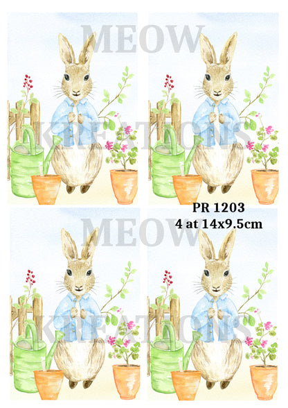 Decoupage Rice Paper - PR 1203