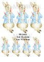 Decoupage Rice Paper - PR 1601