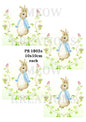 Decoupage Rice Paper - PR 1802a