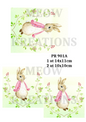 Decoupage Rice Paper - PR 901A