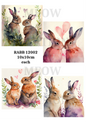 Decoupage Rice Paper - RABB 12002