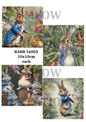 Decoupage Rice Paper - RABB 16002