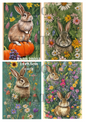 Decoupage Rice Paper - RABB 28003