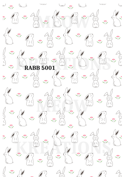 RABB 5001