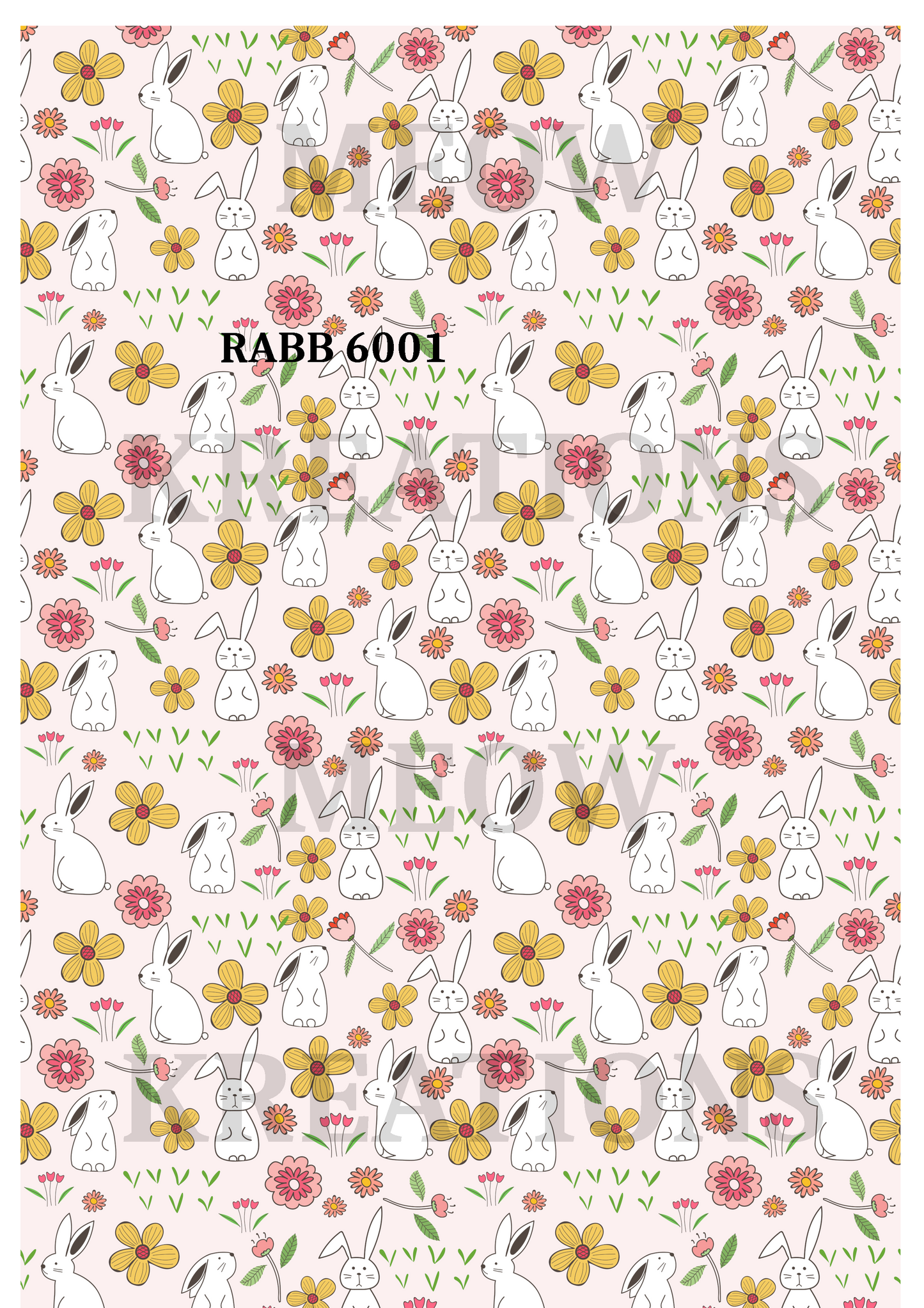 RABB 6001