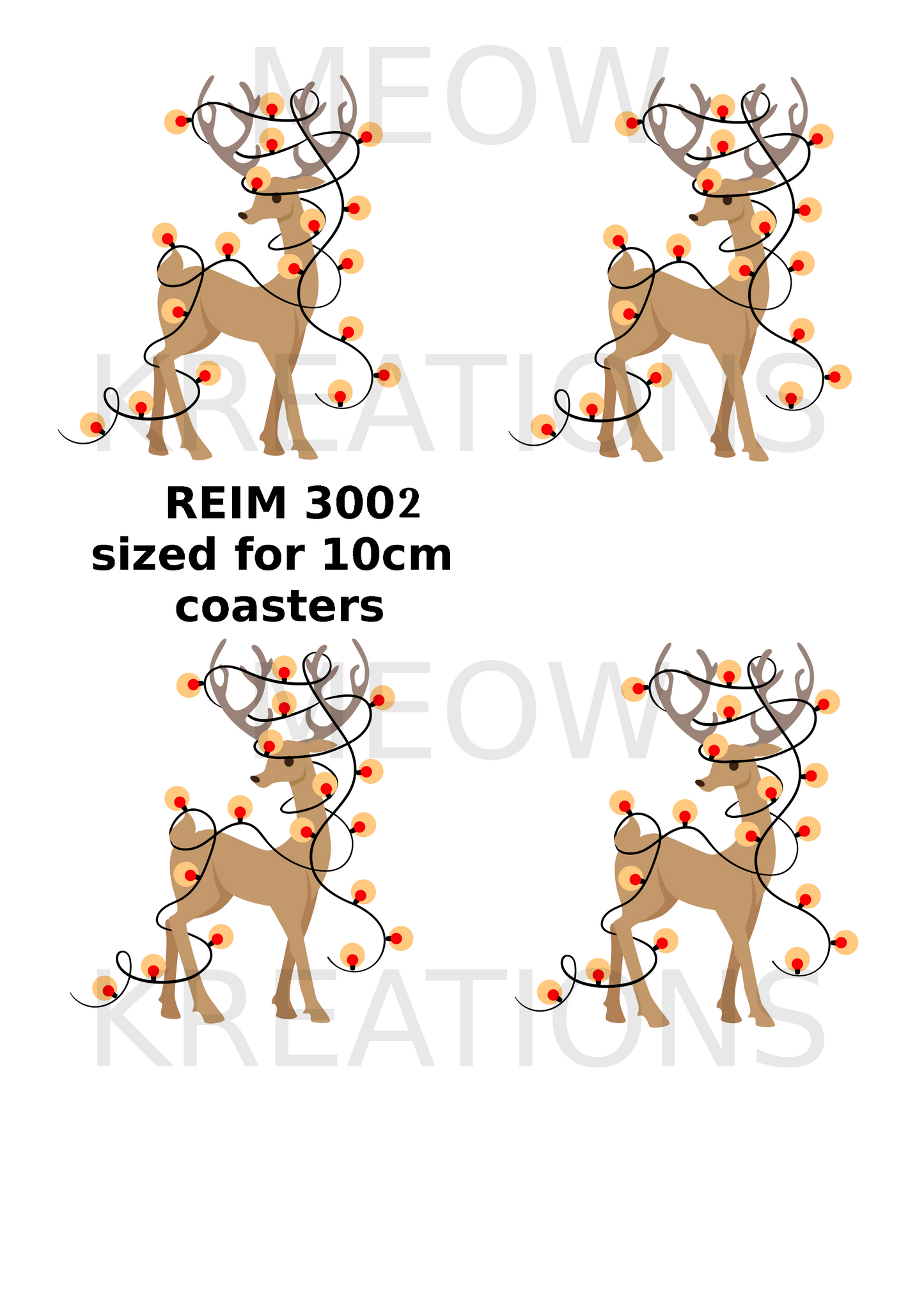 REIM 3002