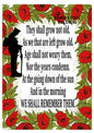 Remembrance Day Soldier & Poppies Decoupage Rice Paper - REMD 13001
