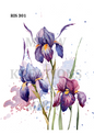 Decoupage Rice Paper - RIS 301