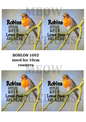 Robin Bird Memorial Decoupage Rice Paper - ROBLON 1002