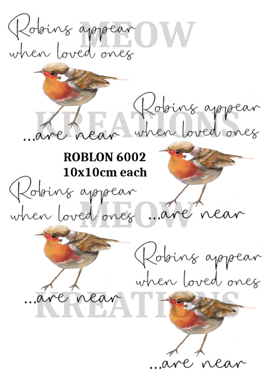 ROBLON 6002