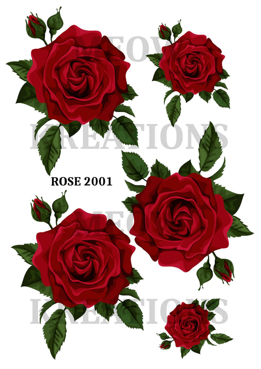 ROSA 2001