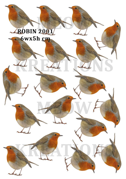 Robin Bird Decoupage Rice Paper - ROBIN 2001