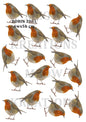 Robin Bird Decoupage Rice Paper - ROBIN 2001