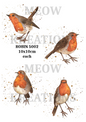 Robin Bird Decoupage Rice Paper - ROBIN 5002