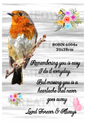 Robin Bird Memorial Decoupage Rice Paper - ROBIN 6004a