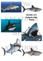 Decoupage Rice Paper - SHARK 101