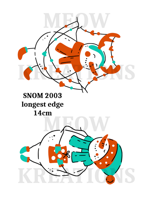 SNOM 2003