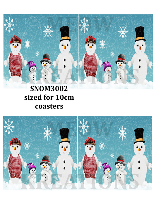 SNOM 3002