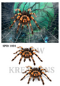 SPID1001