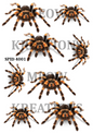 Decoupage Rice Paper - SPID 4001