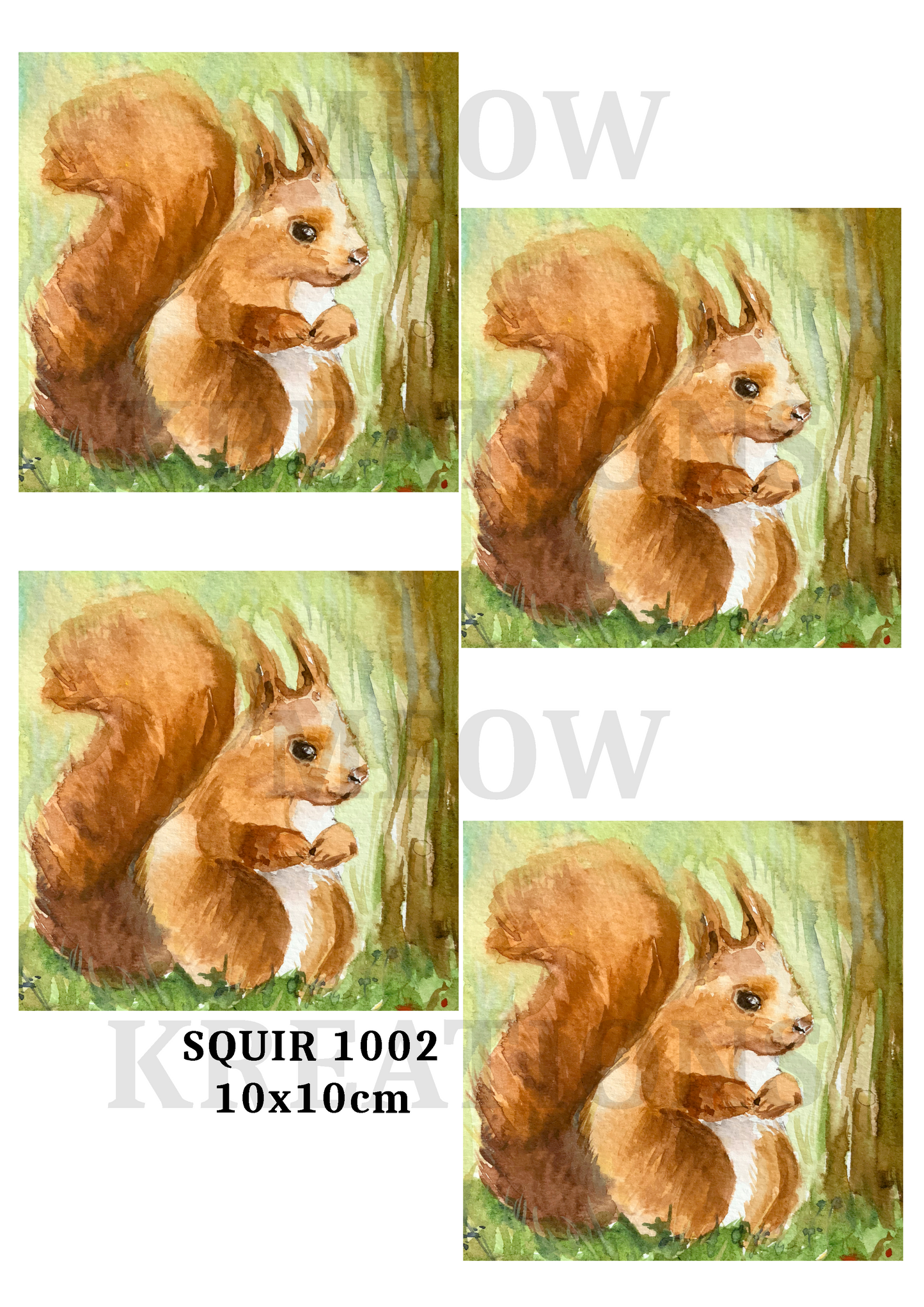 SQUIR 1002