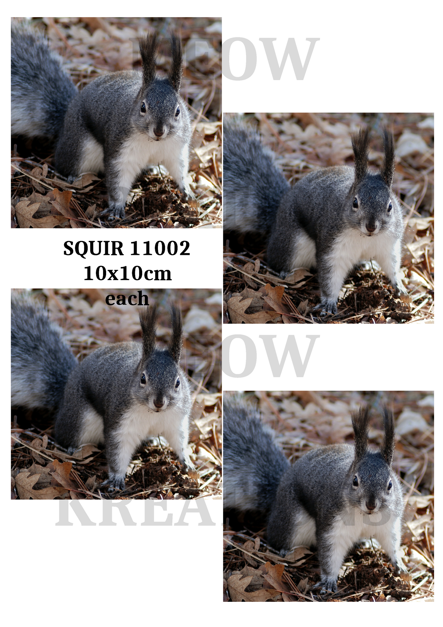 SQUIR 11002