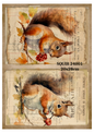 Decoupage Rice Paper - SQUIR 24001