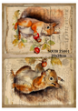 Decoupage Rice Paper - SQUIR 25001