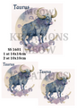 Decoupage Rice Paper - SS 1601