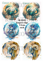 Decoupage Rice Paper - SS 2202