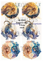 Decoupage Rice Paper - SS 2302