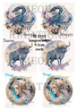 Decoupage Rice Paper - SS 2502