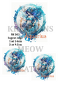 Decoupage Rice Paper - SS 501