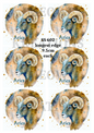 Decoupage Rice Paper - SS 602