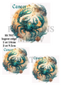 Decoupage Rice Paper - SS 701