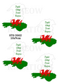 St David’s Day Welsh Map Decoupage Rice Paper - STD 2002