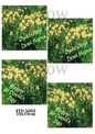 Decoupage Rice Paper - STD 5002