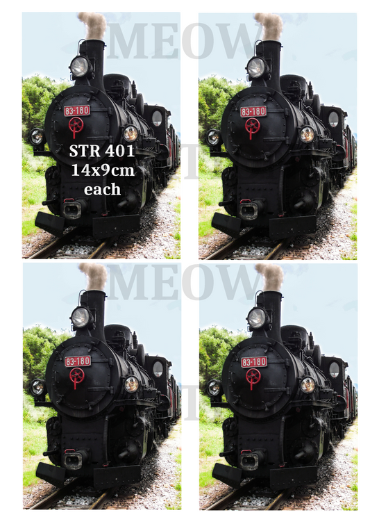 STR 401