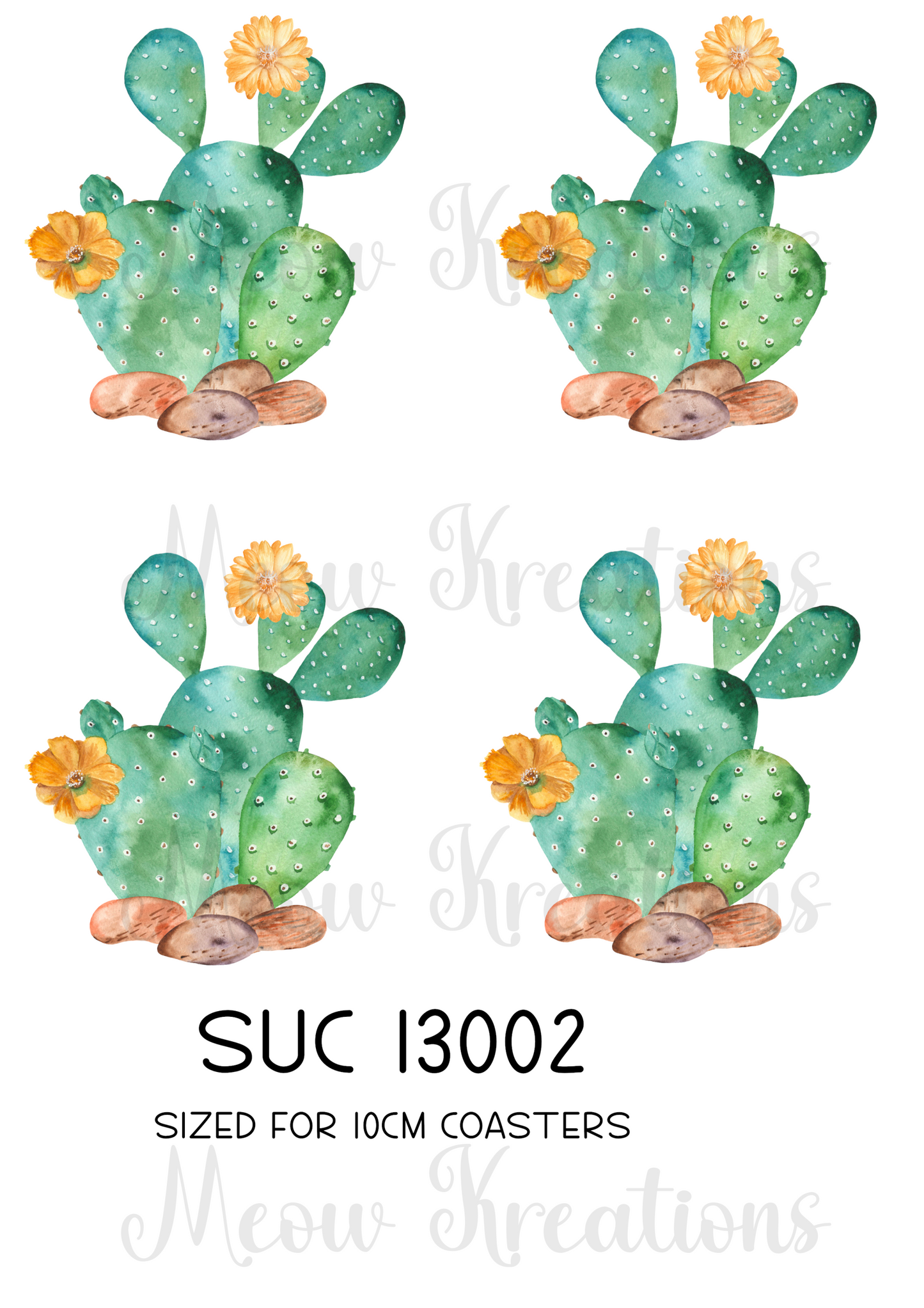 SUC 13002