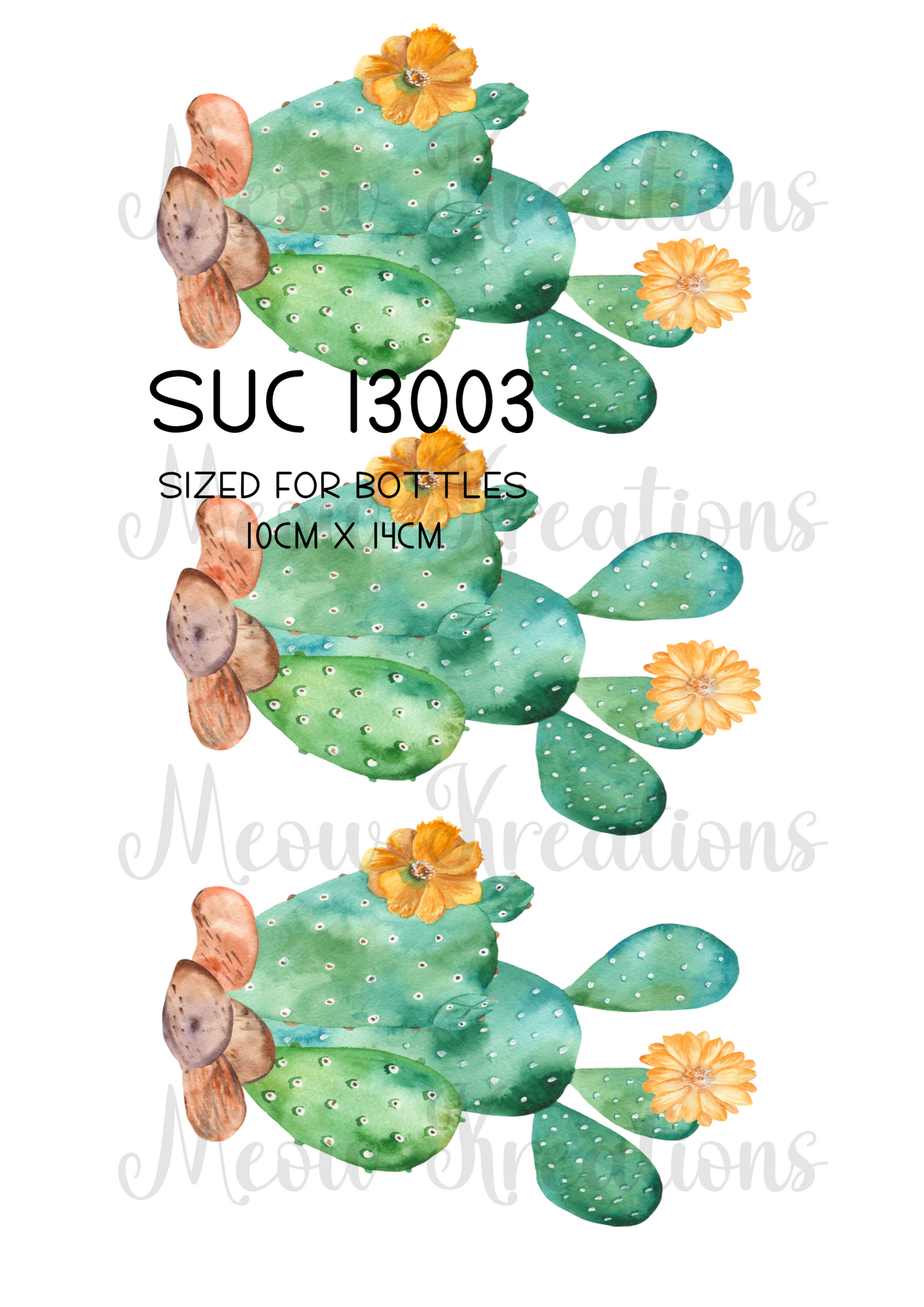 SUC 13003