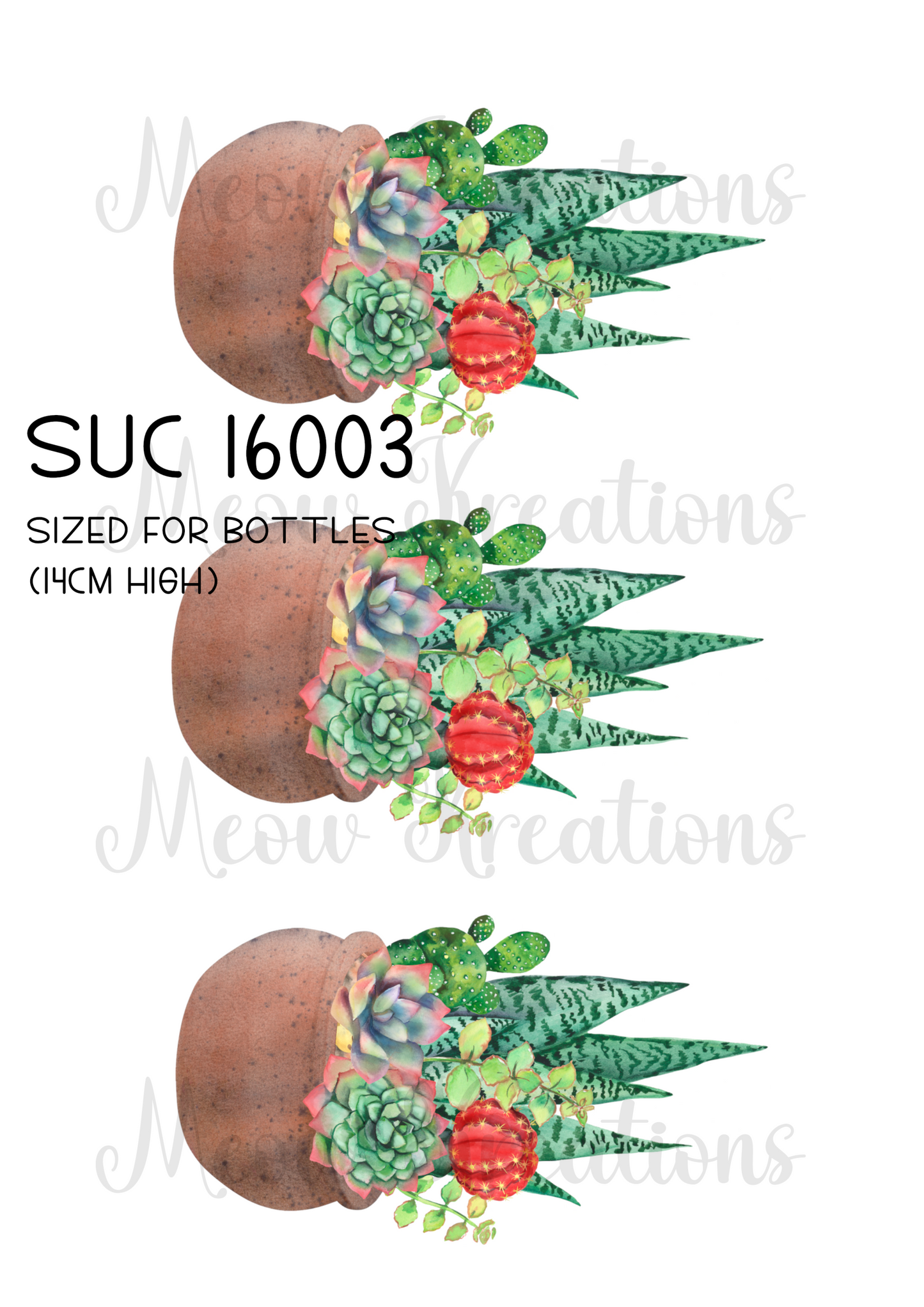 SUC 16003