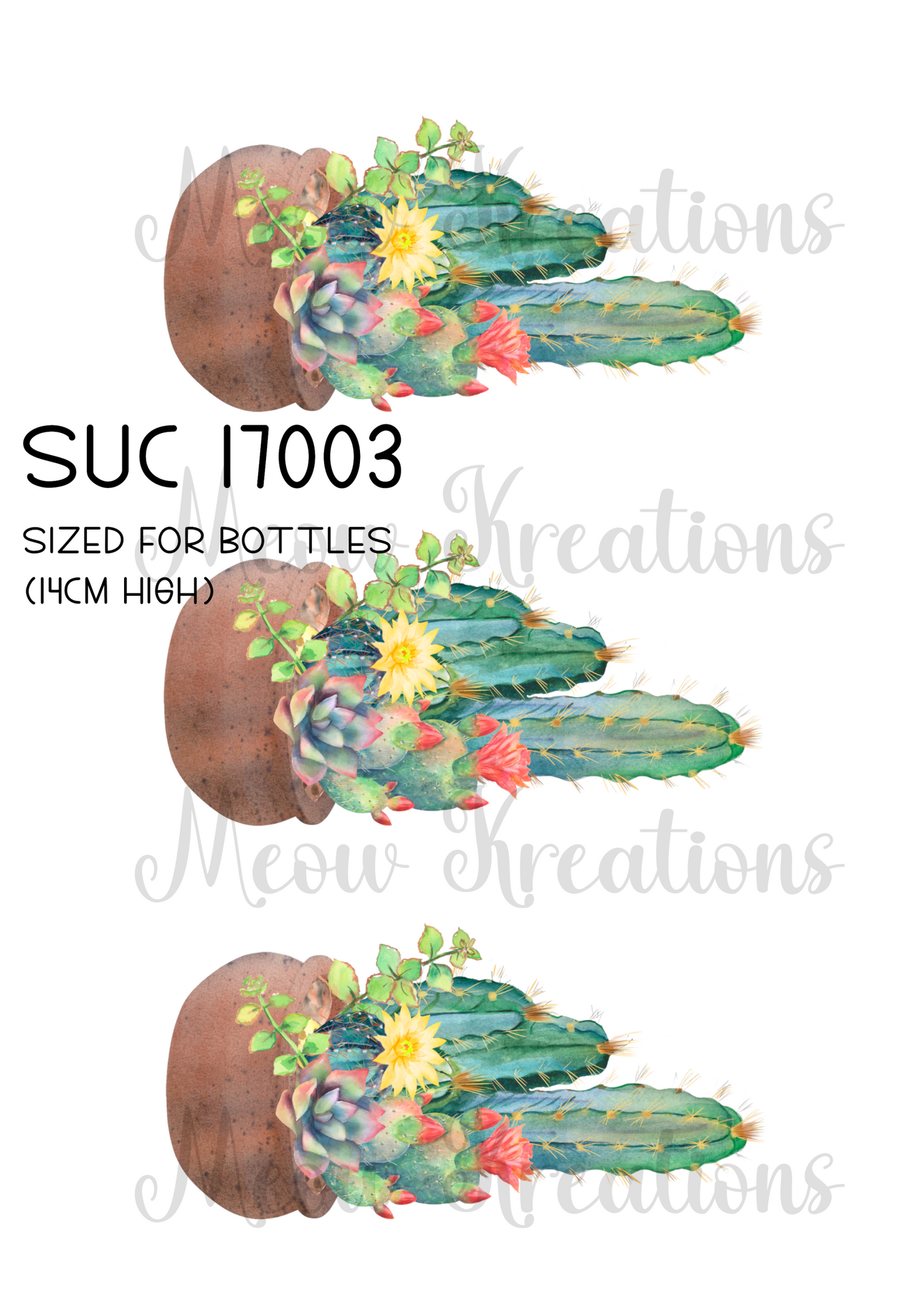 SUC 17003