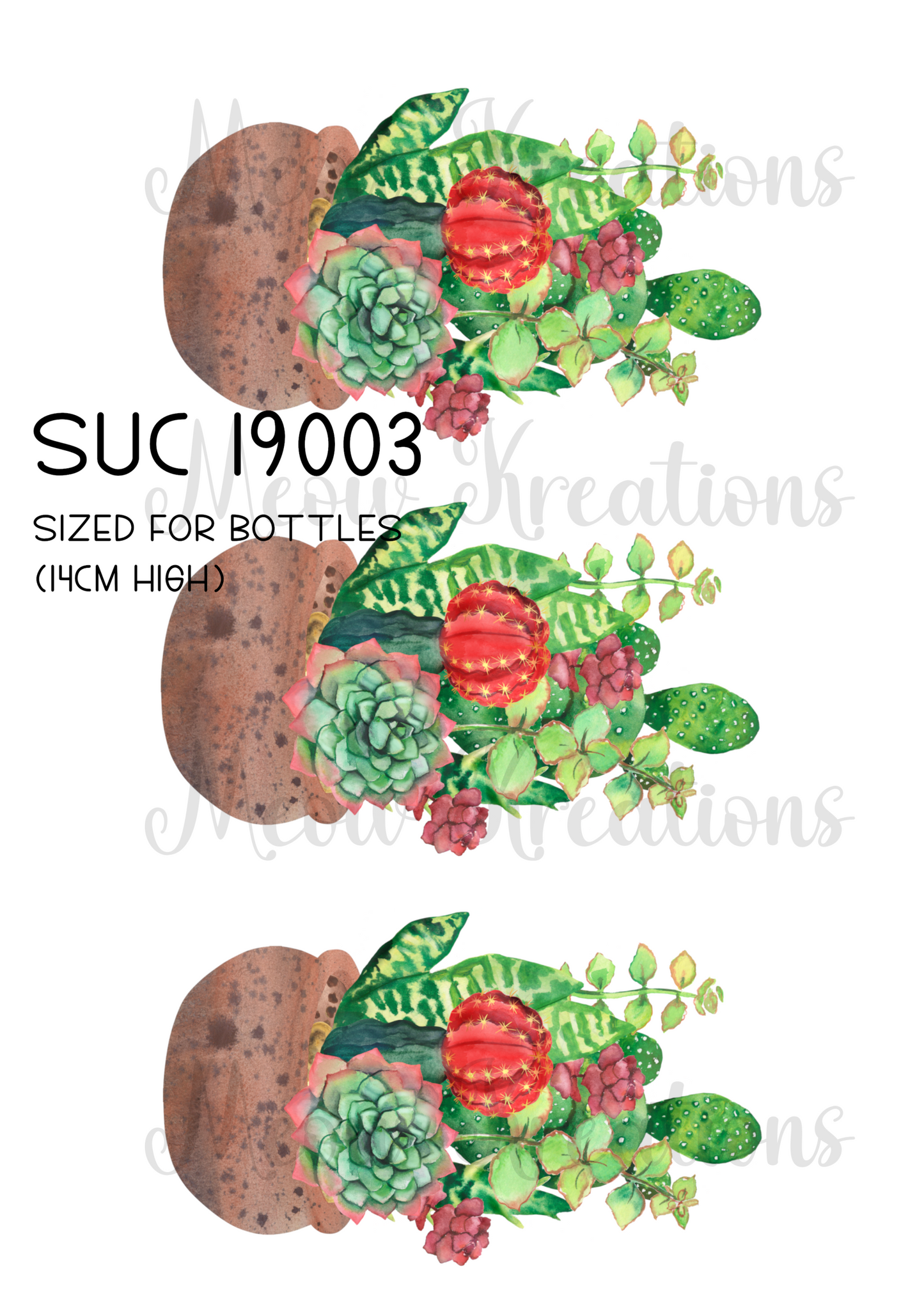 SUC 19003