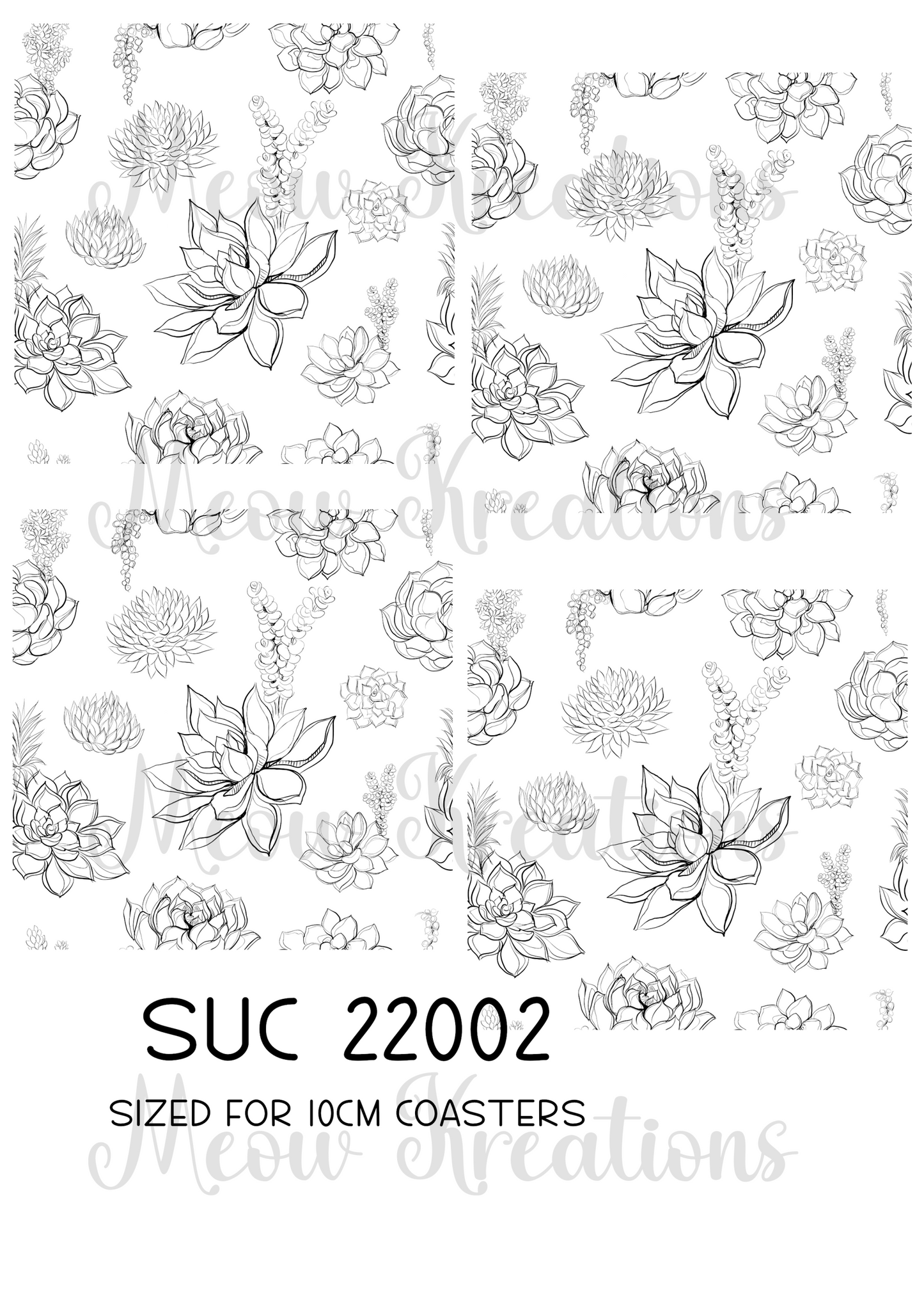 SUC 22002