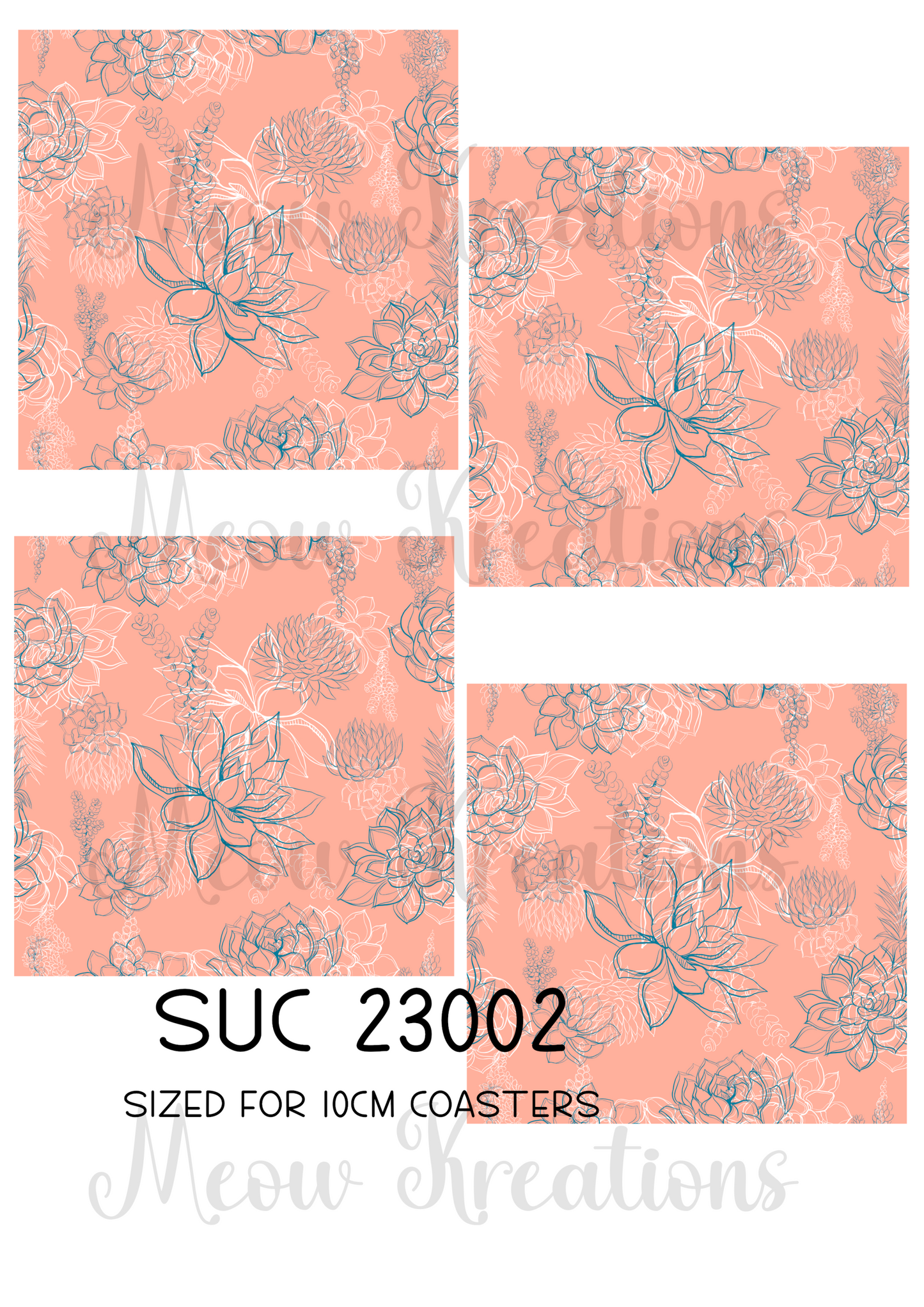 SUC 23002