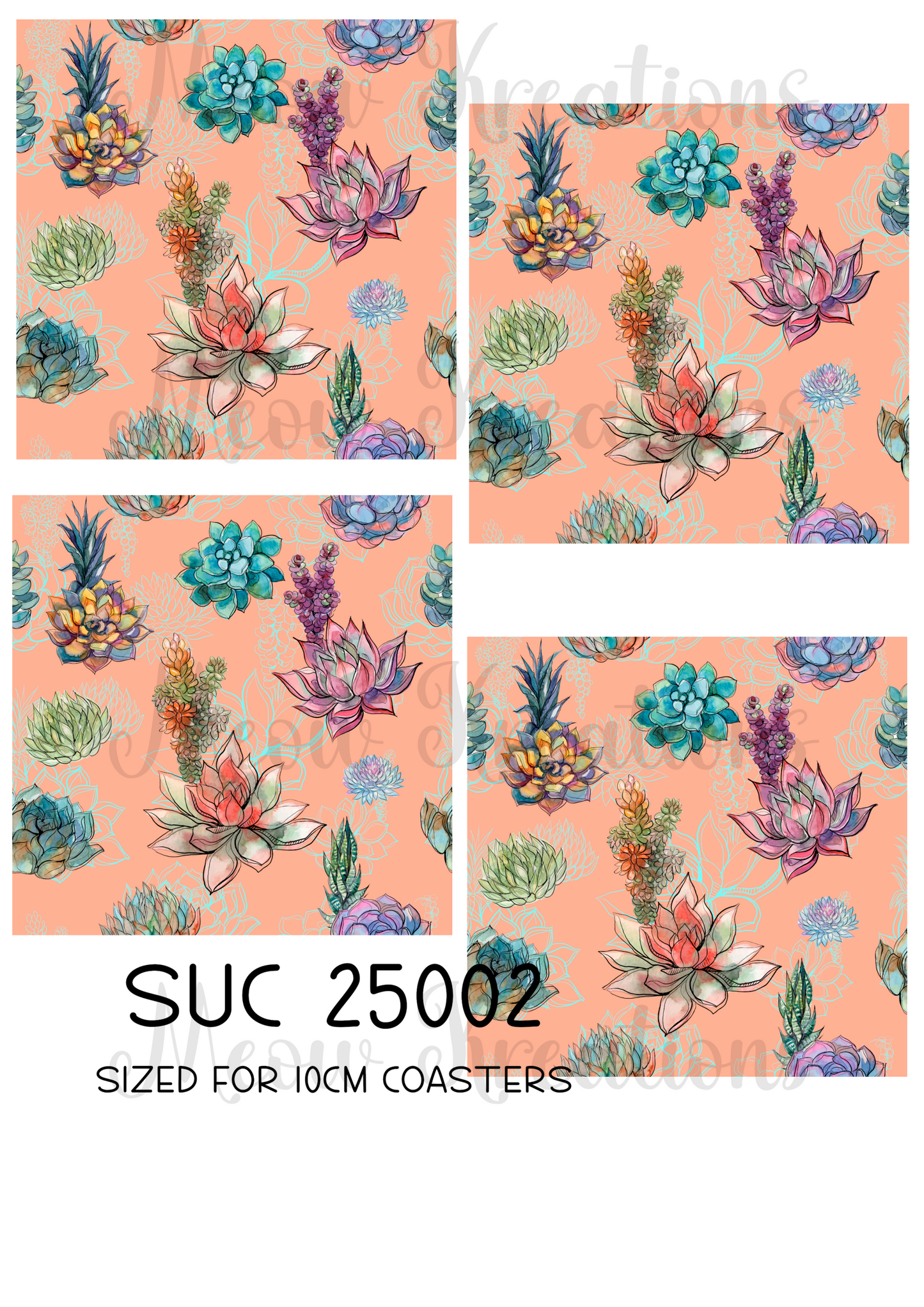 SUC 25002