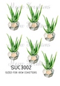 Decoupage Rice Paper - SUC 3002